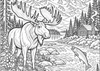 Wild Alaska: An Adult Coloring Journey - Digital Download